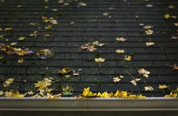 Fall Roof Preparation